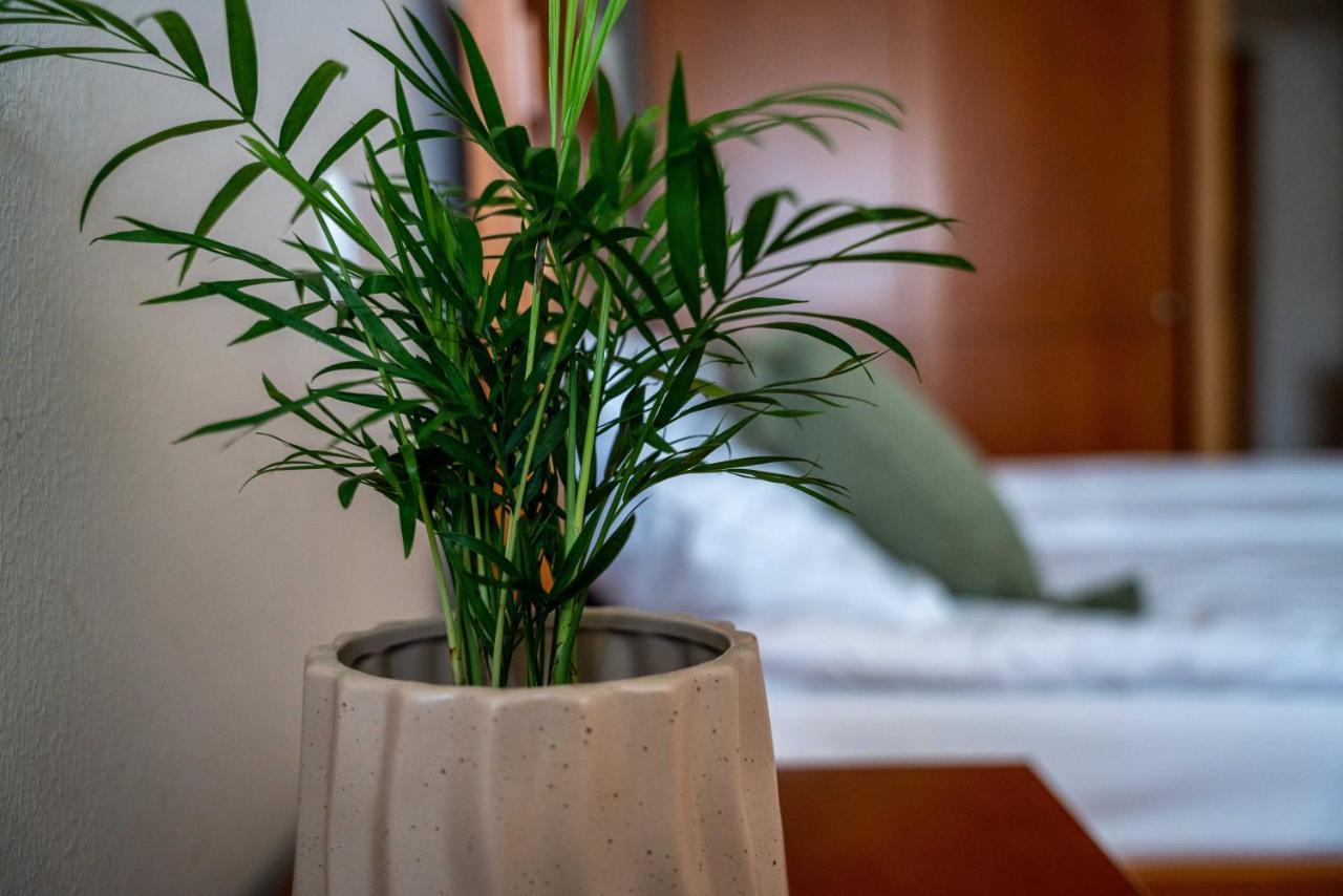 Lagoja B&B Trzin Екстериор снимка
